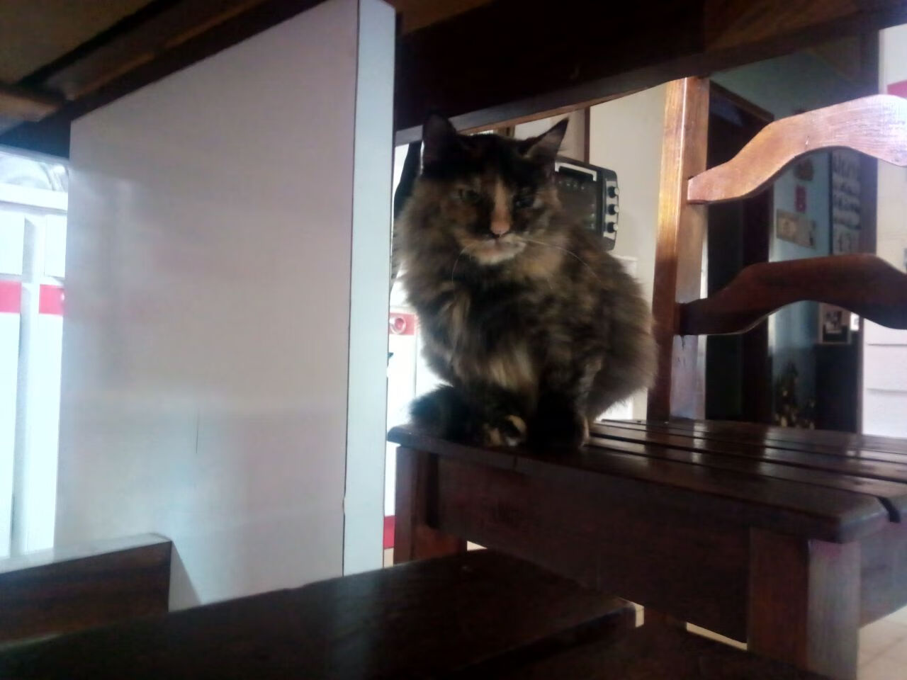 NBA最新转会动态：哪些球员即将飞抵新东家？，nba球员转会有转会费吗