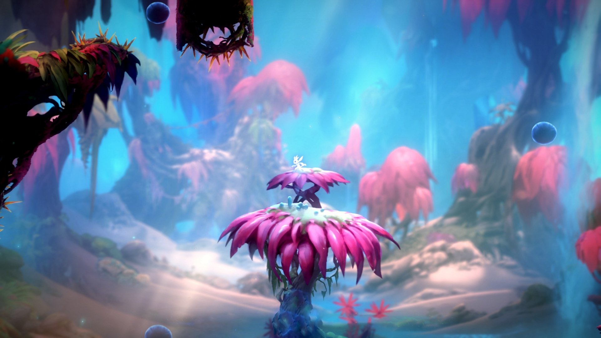 _极地冰原极限跑：追逐白雪的速度梦想_，极地冰在哪里