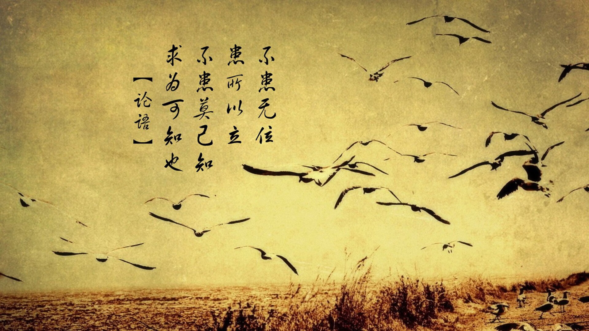 FB体育在线直播平台-_精彩对决：经典五盘大战令人难忘_，精彩对抗