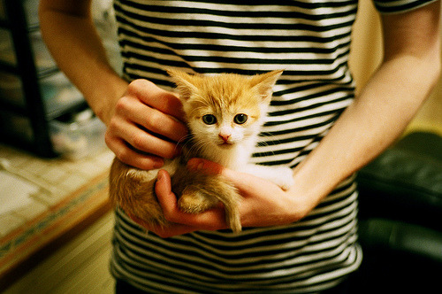 “运动员秘密：场外趣味嗜好大揭秘”，运动员们在场上的表现可真是霸气十足