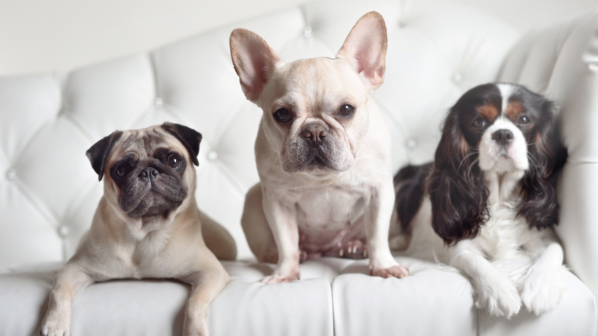 FB体育入口-史上最令人震惊的逆转战：夜晚的“奇迹之旅”