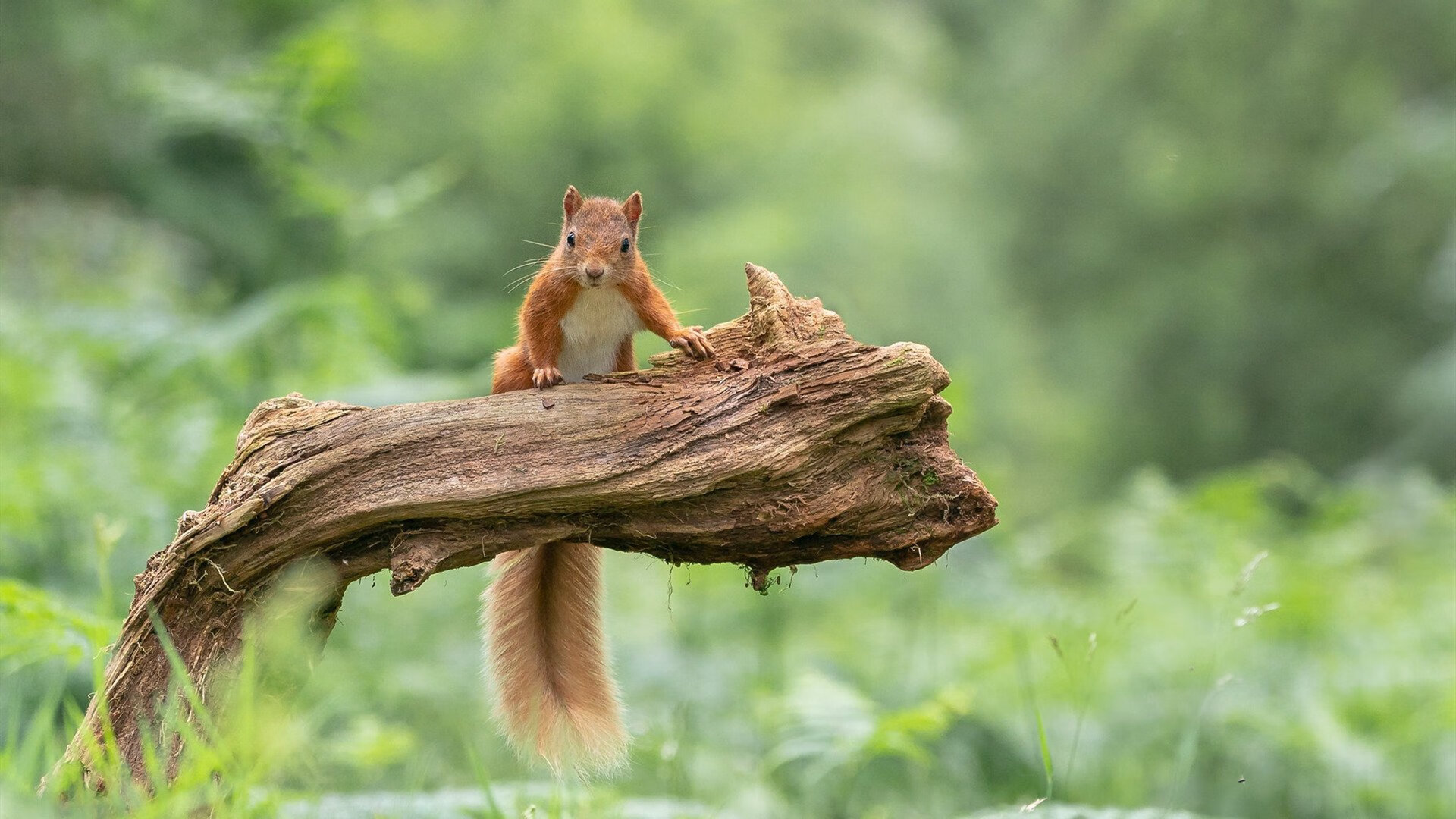 眺望极限：极地探险运动比赛正式启动，极地探险介绍