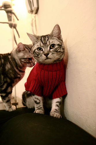 绝地求生“穿越风暴”全国总决赛激情持续升温，绝地求生之穿越吃鸡