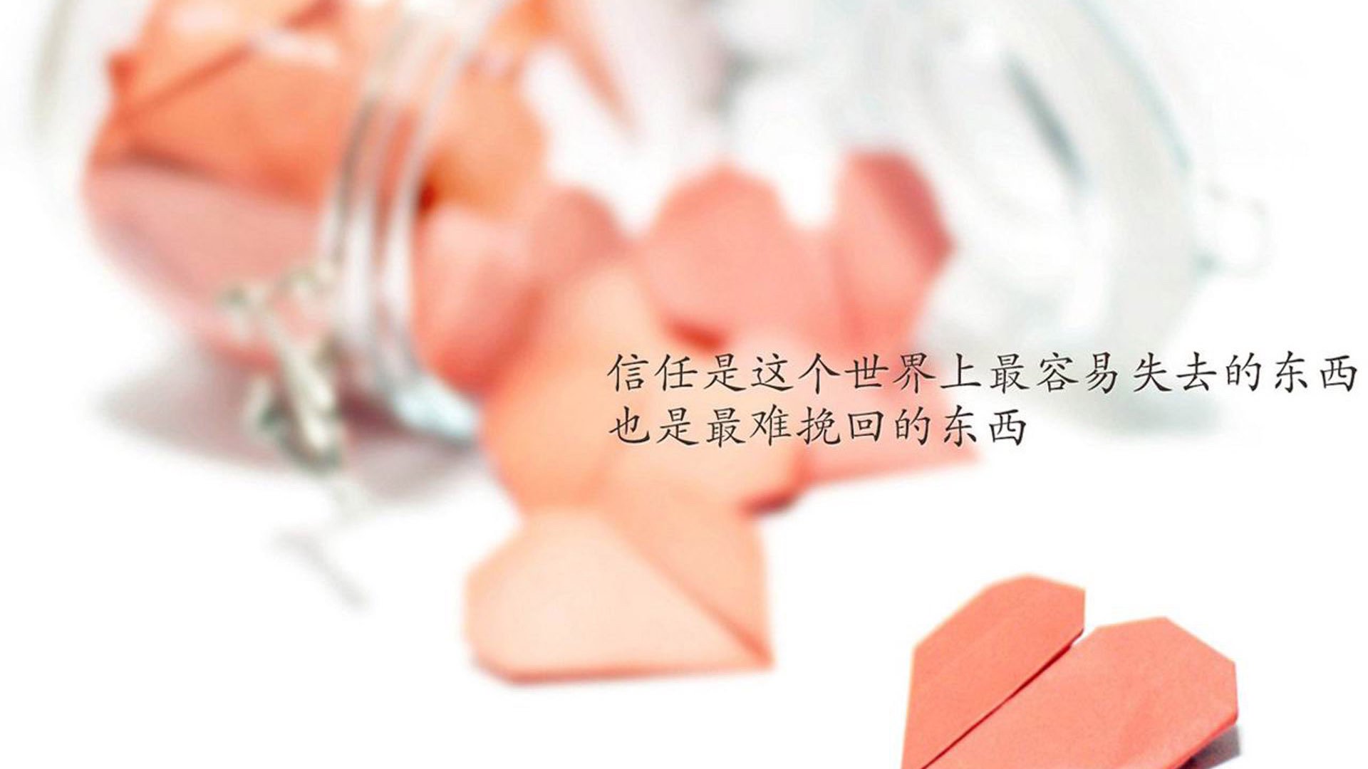 巴西队在2024年南美锦标赛中以6-2战胜意大利队获得银牌，巴西落选赛