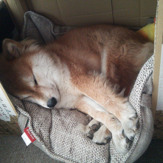 体育教学资源信息化开发现状分析，体育信息化教学分析和建议