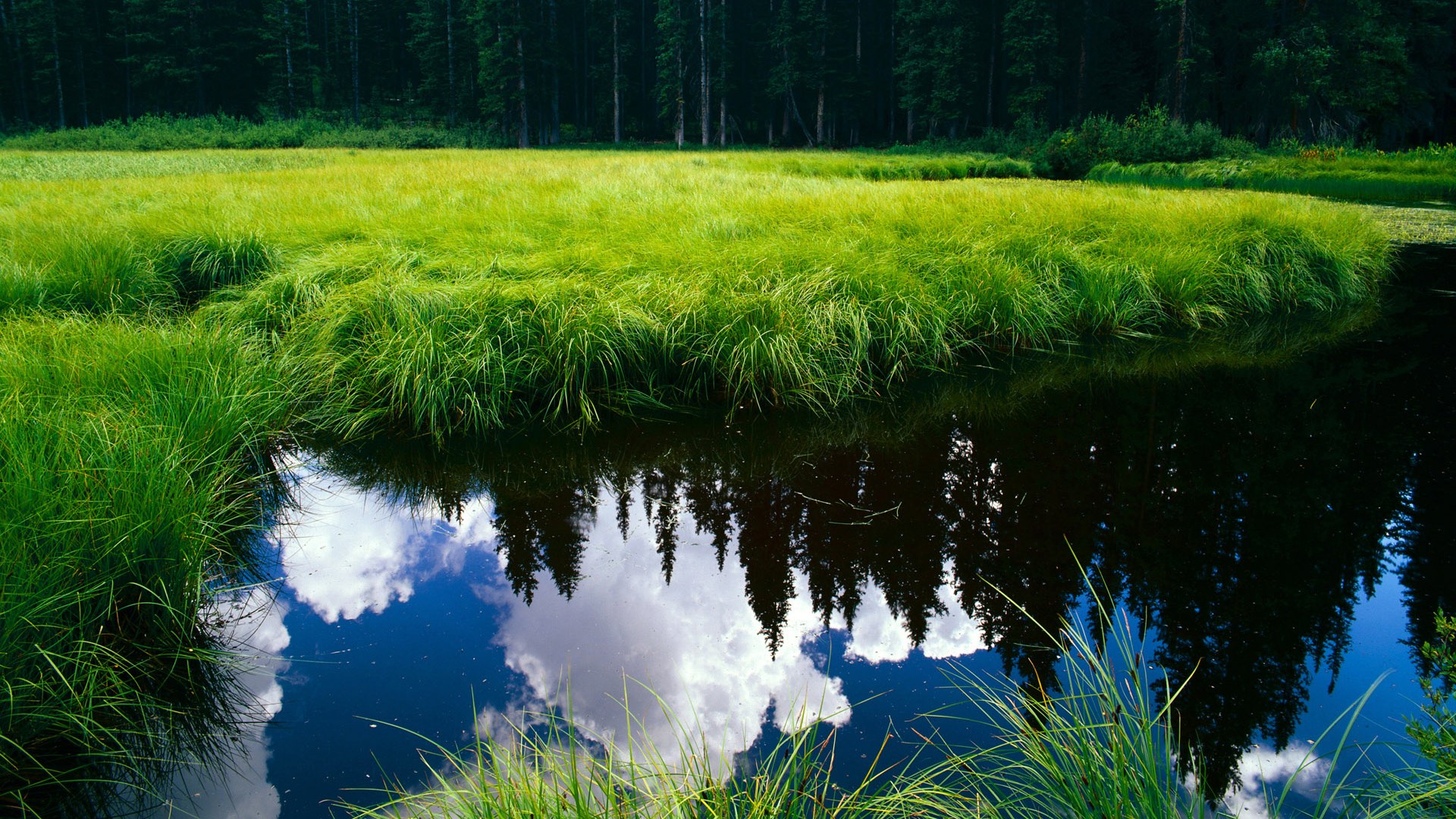 意甲VAR平台导入视觉+语义协同预判系统精度提升,意甲var使用规则