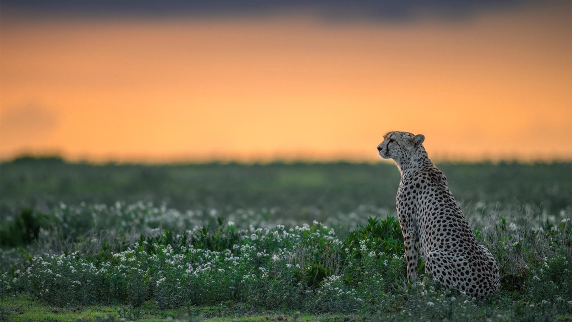 中小学运动会多地同步举行展现青春风采,中小学的运动会在什么时候