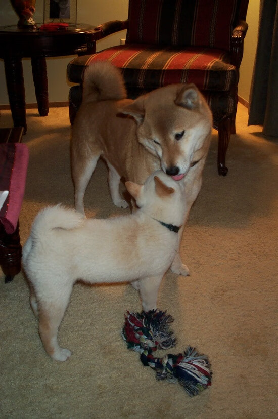 FB体育官方-中超联赛中国女足夺冠 球迷兴奋不已，中超女足联赛赛程