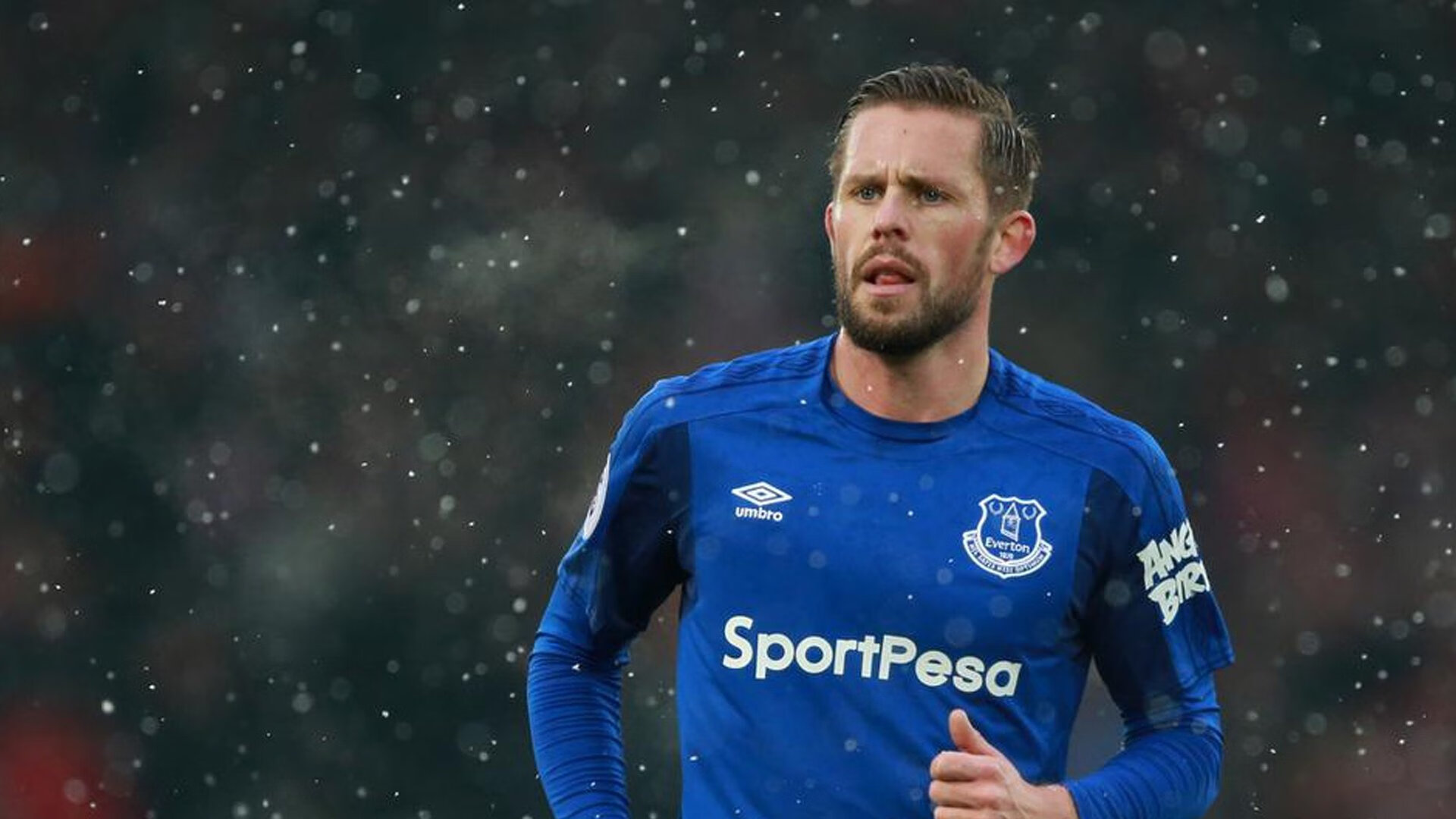 双子星组合哪对效率最高，双子星lv