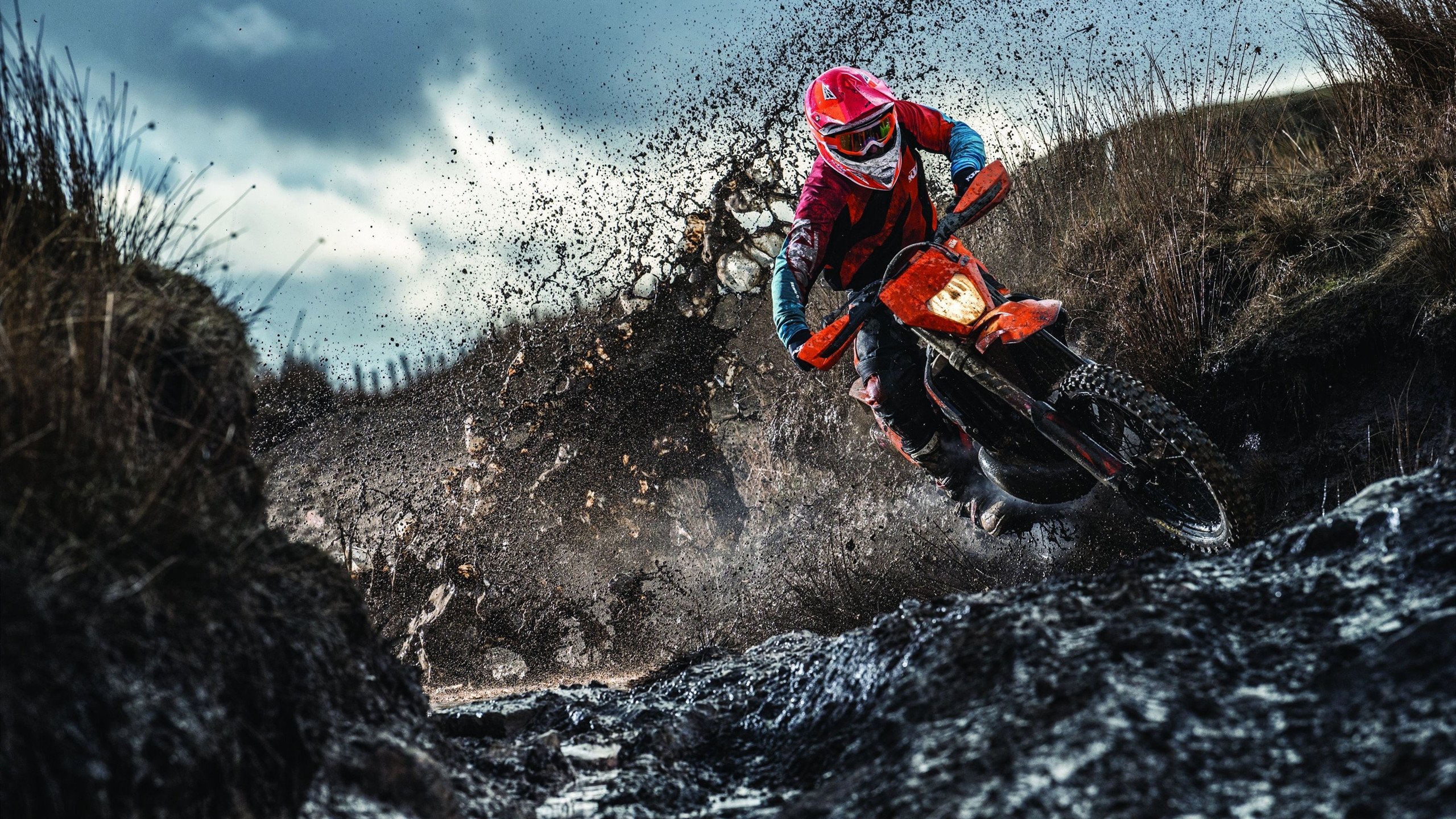 fb体育论坛-“行业领跑者预言：机器人裁判将在未来10年实现全面普及”，机器人比赛裁判员认证