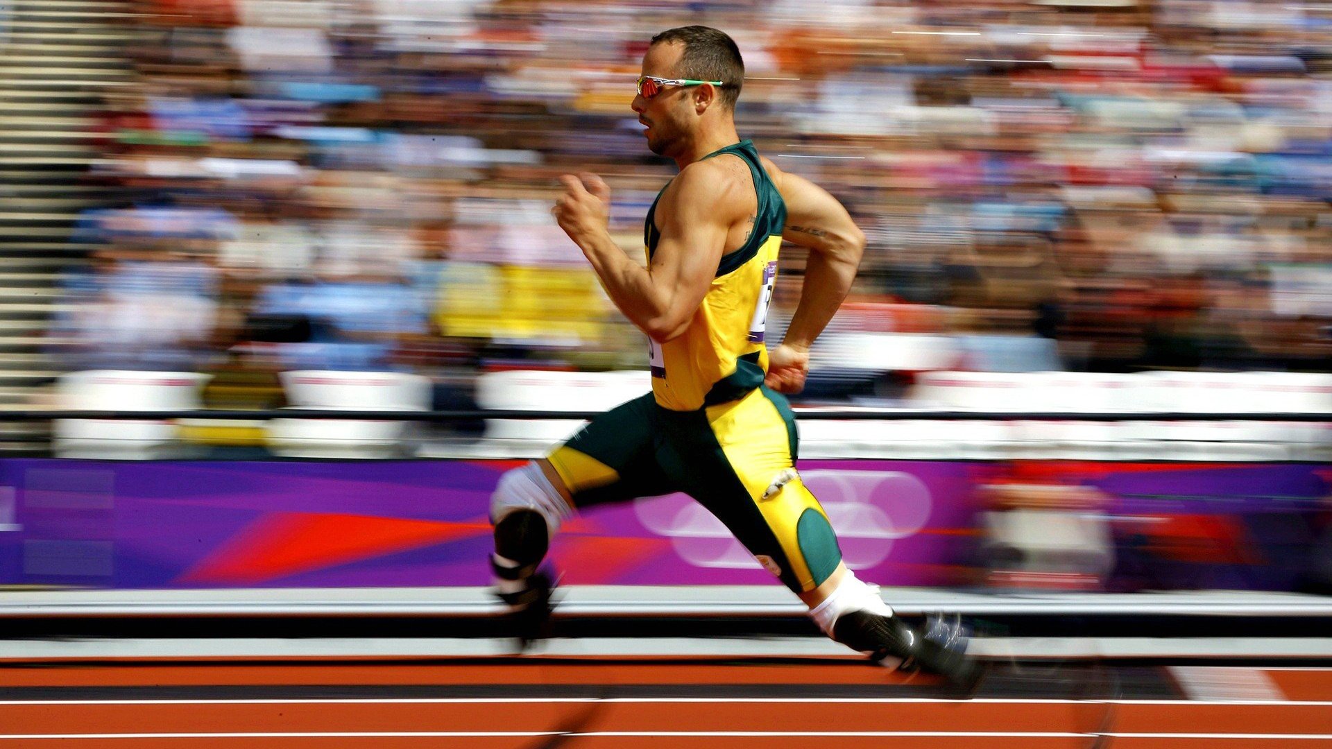 举办瑜伽行业论坛，探讨发展方向，开展瑜伽